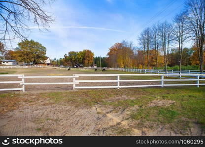 Wooden white fence on a green field. Beautiful blue sky. Horses graze. Wooden white fence on a green field. Beautiful blue sky. Horses graze.