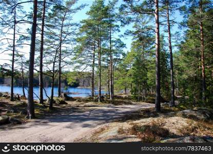 Woodland lake scenery from the swedish province Smaland