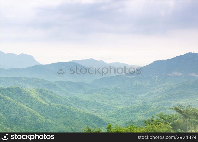 woodland. The tree-covered slopes of the mountain area. Fertile area