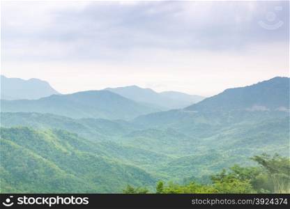 woodland. The tree-covered slopes of the mountain area. Fertile area