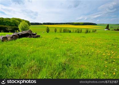 Woodpile on the Green Fields, Germany