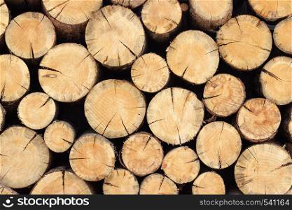 Woodpile stack of round logs of trees, abstract background texture for your design.. Woodpile stack of round logs of trees, abstract background texture for your design