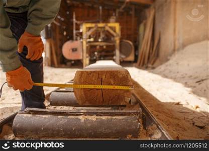 Woodworker with measuring tape measures the log on woodworking machine, lumber industry, carpentry. Wood processing on factory, forest sawing in lumberyard, sawmill