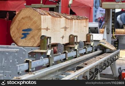 Woodworking, lumber, a large pine log is fixed on the flyover of a modern automatic sawmill.. Woodworking, large logs in a modern sawmill.