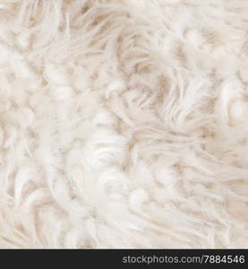 Wool texture or fur, can use as pattern background