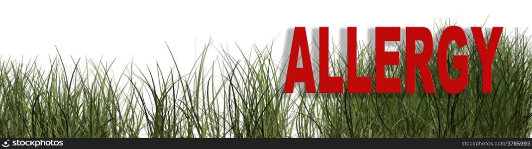word ALLERGY writing on white background with grass made in 3d software