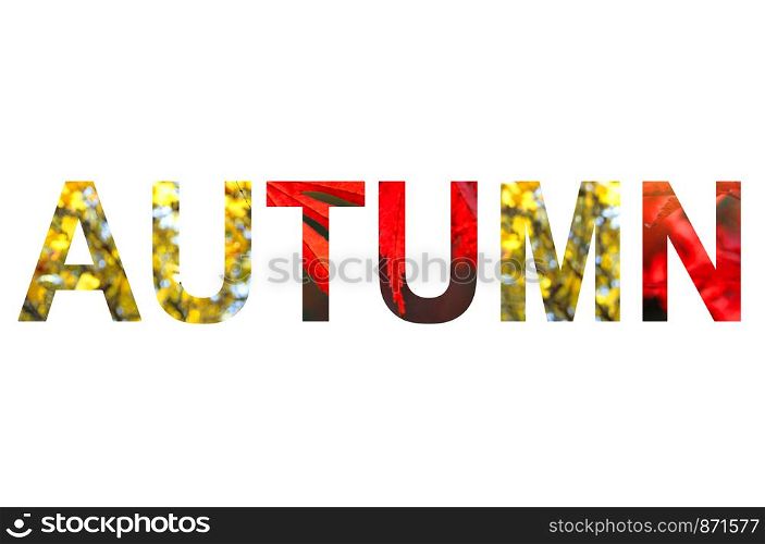 Word AUTUMN with a bright yellow leaves of maple tree pattern isolated on white background