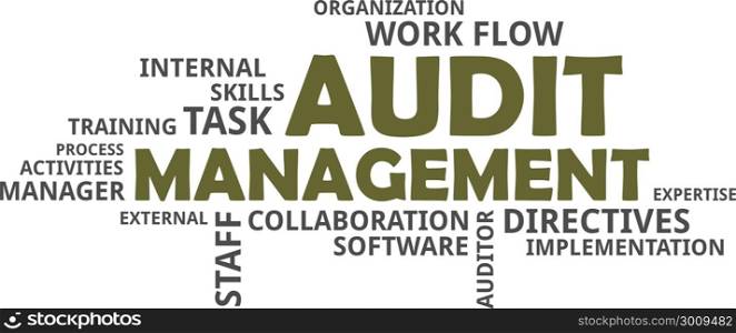 word cloud - audit management