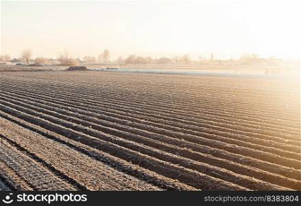 Word cultivation on background of winter farm field. Surface tillage, loosening soil, removing weeds. Preparatory agricultural work on spring. Agriculture and agribusiness. Presowing soil preparation