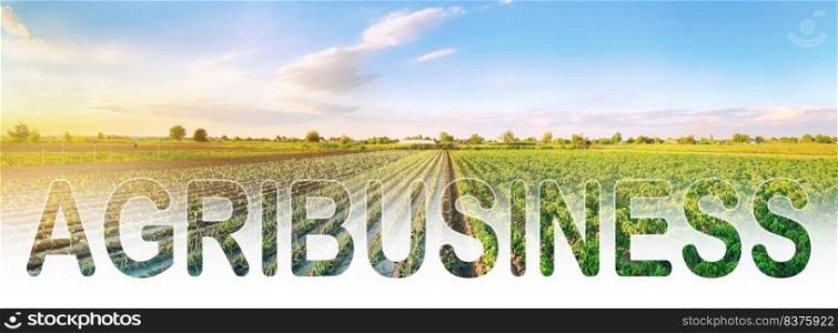 Word inscription agribusiness on agricultural plantation field. Crop and livestock growers. Agroindustry food industry. Production of farm products. Farm Lending. Support, subsidization of landowners.