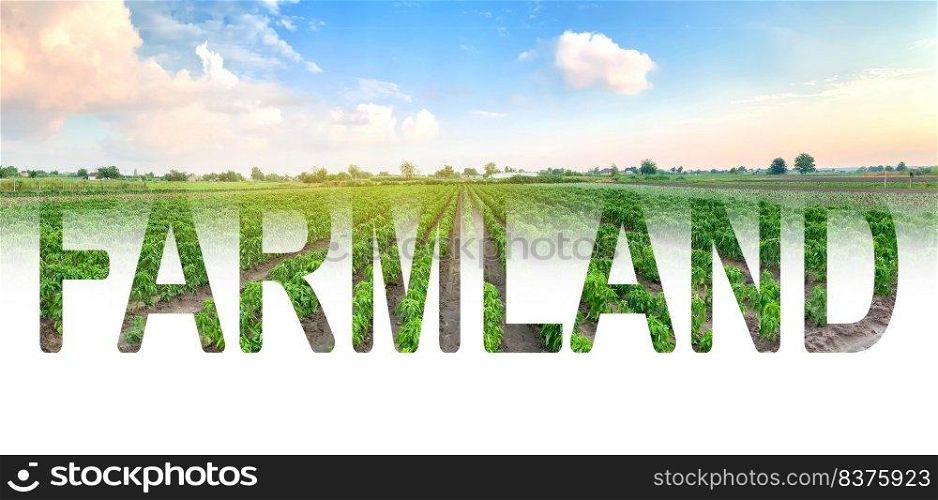 Word inscription Farmland on background of agricultural plantation field. Beautiful countryside view. Farming. Agroindustry and agribusiness. Cultivation and production of farm food products.