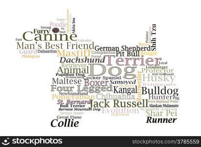 Words stacked on a white background about dogs and dog breeds