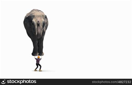 Work on forces. Businesswoman carrying big elephant on her back