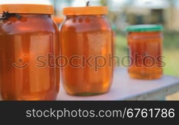 worker bees on the jar with honey