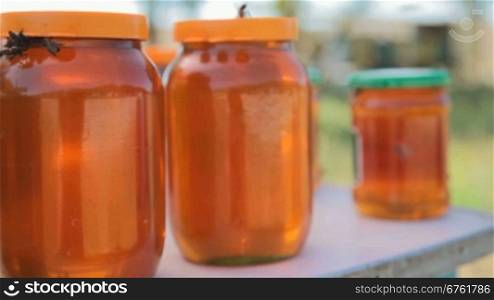 worker bees on the jar with honey
