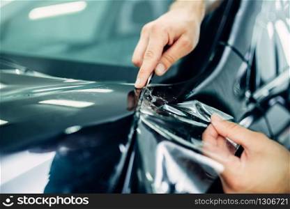 Worker hands installs car paint protection film on hood. Transparent protective coating against chips and scratches