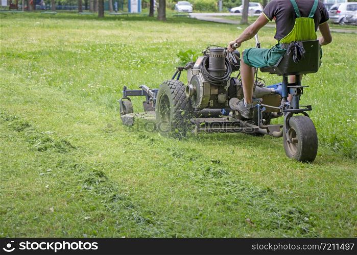 Worker mowing grass in a city park.