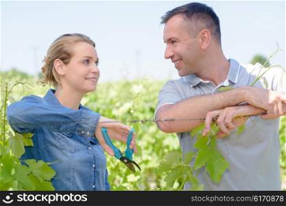 worker with pruning shears