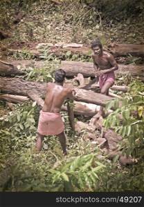 Workers are cutting tree trunk, to be used to preapre a big boat called ?URU?. Kerala,India