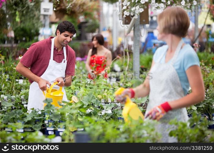 Workers watering the plants at greenhouse with people in background