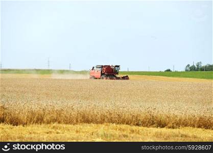 working harvester on wheat field