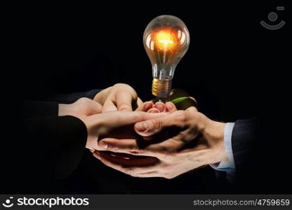 Working in collaboration. Brainstorming and teamwork concept with diverse business people holding light bulb in hands