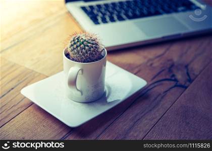 Workspace from above: Laptop and cactus on a wooden desk