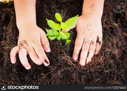 World Environment Day Environment Concept, Top view Hand of Asian cute little child boy planting young tree on black soil on green garden background