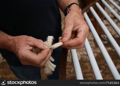 worn experienced hard hands of a long time sheep farmer examining freshly shorn wool in his shearing shed on his farm in rural Victoria, Australia