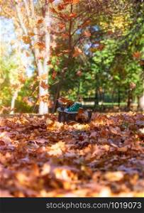 worn green sneakers on a stump in the midst of flying yellow maple leaves in an autumn park