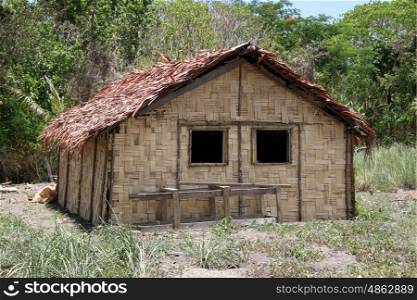 Woven hut near the forest in Vanuatu