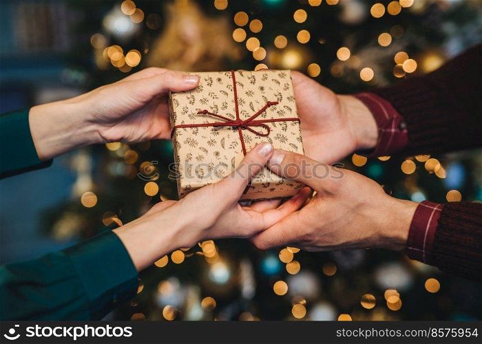 Wrapped box in woman s and man s hands. Affectionate husband congratulates his wife with New Year, presents her holiday gift box, stand against decorated Christmas tree. Holiday concept