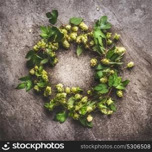Wreath of Green hop twigs , ingredients for beer Brewing on gray background, top view