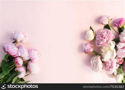 wreath of pink and white peony flowers with copy space for text on pink background. Flat lay, top view. Peony flower texture. Fresh peony flowers