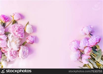 wreath of pink and white peony flowers with copy space for text on pink background. Flat lay, top view. Peony flower texture, toned. Fresh peony flowers