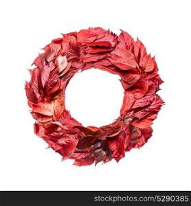 Wreath of red autumn leaves, isolated on white background