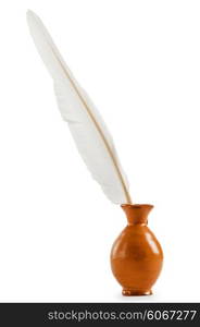 Writing feather isolated on the white background