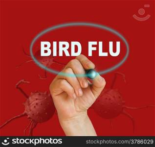 writing word BIRD FLU with marker on red background made in 2d software