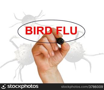 writing word BIRD FLU with marker on white background made in 2d software