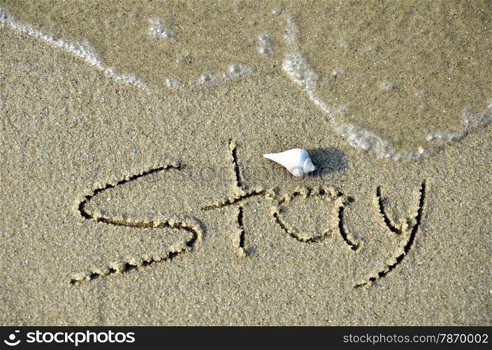 Written stay word on the beach. a shell is on the top of the word. STAY word on the beach.