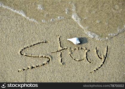 Written stay word on the beach. a shell is on the top of the word. STAY word on the beach.