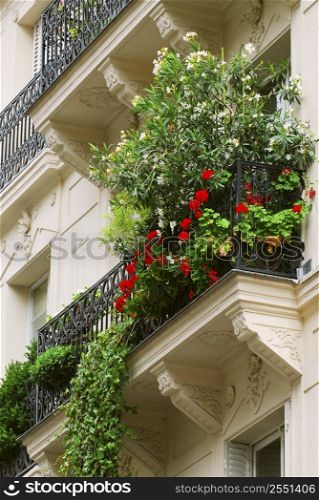 Wrought iron balcony full of flowers on historic building in Paris, France