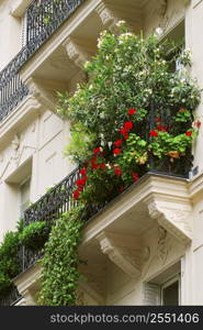 Wrought iron balcony full of flowers on historic building in Paris, France