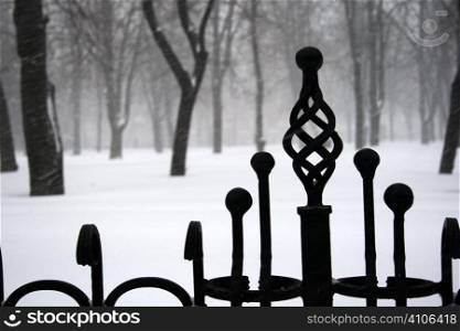 wrought-iron fence on the background of snow-covered park