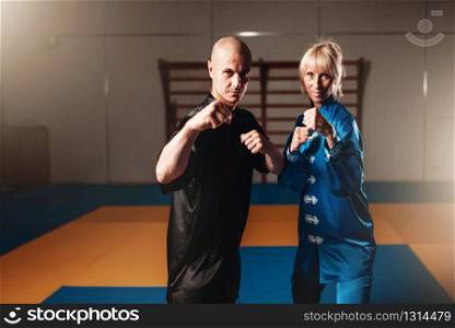 Wushu fighters, male and female partners poses indoor, martial arts culture