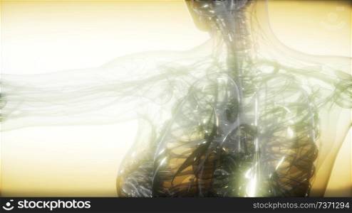 X-Ray image of human body for a medical diagnosis. X-Ray Image Of Human Body