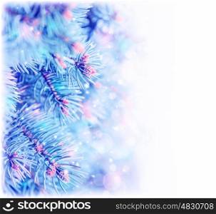 &#xA;Picture of frozen pine tree border, copy space, Christmas tree covered hoar isolated on white background, spruce branch in wintertime, conifer needle covered with rime, New Year greeting card