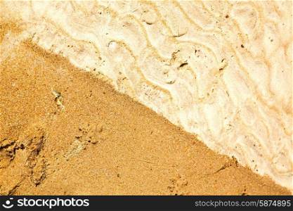 &#xA;sand and the beach abstract thailand kho tao bay of a wet in south china sea