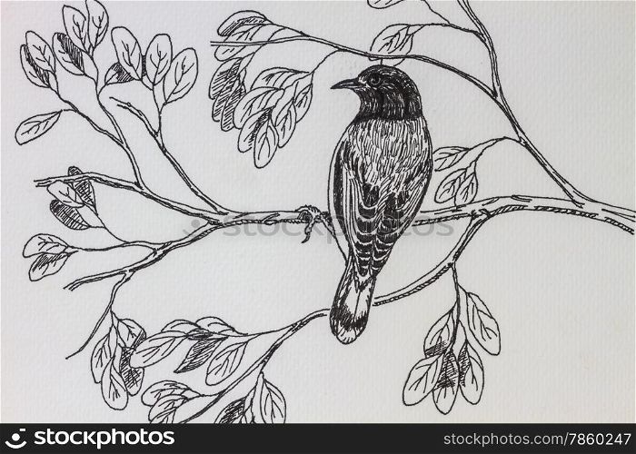 &#xA;The original drawing of birds on white paper