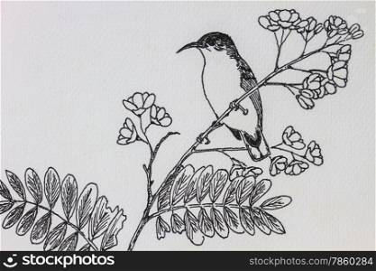 &#xA;The original drawing of birds on white paper